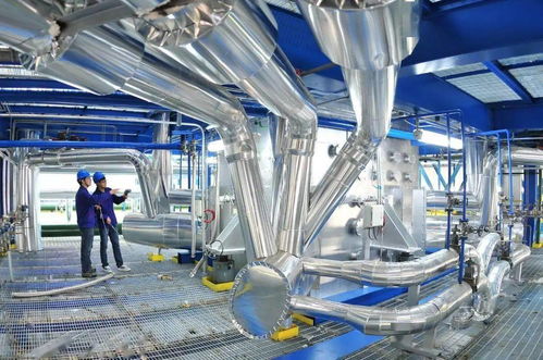 心動龍江，共贏未來 亞布力之夜點亮計算機網絡科技新篇章