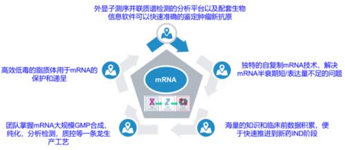 創新競爭2.0 國內頭部藥企如何借力計算機網絡科技重塑研發格局